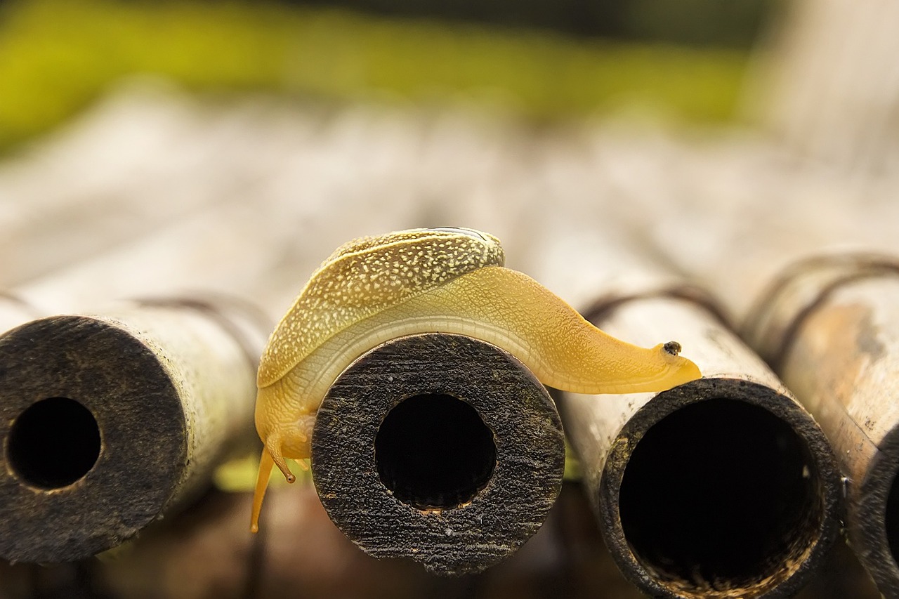 英国最新消息概览,最新动态一网打尽