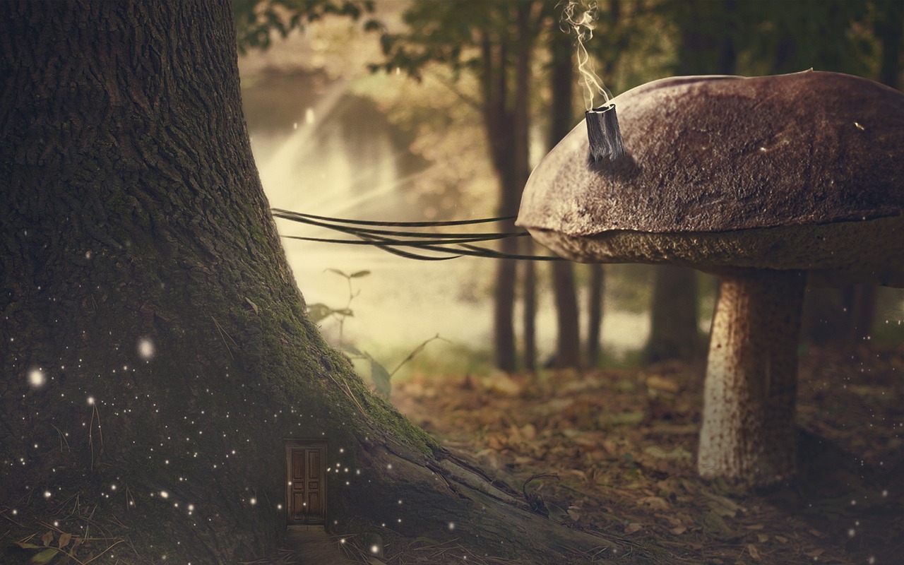 锦州港最新动态更新消息速递